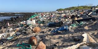 A variety of pollution on the beach.